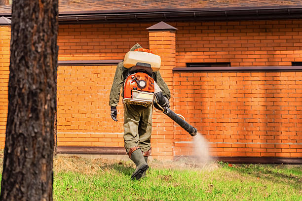 Trusted Ant Control service in Oak Grove, KY - Nex Pest Control